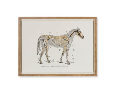Gold Skeleton - Horse